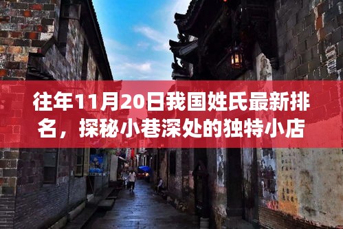 往年11月20日中國(guó)姓氏最新排名，小巷深處的獨(dú)特小店背后的故事探秘