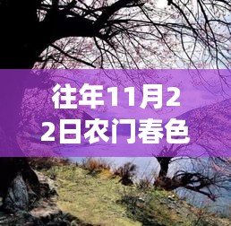農(nóng)門(mén)春色，暖陽(yáng)下的秋日趣事與深厚友情最新章節(jié)發(fā)布（XXXX年XX月XX日）
