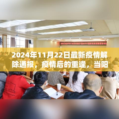 陽光照亮心靈，疫情解除通報與重逢的日子