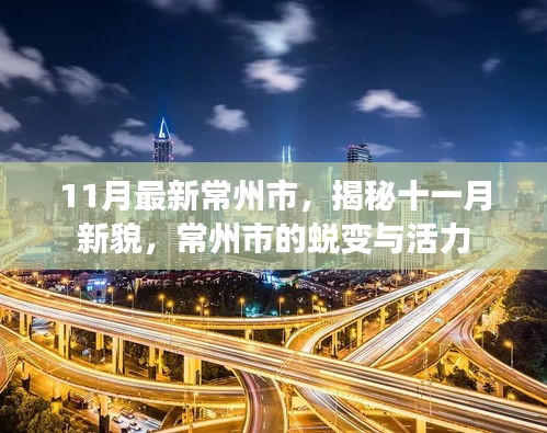 質(zhì)而不俚 第6頁