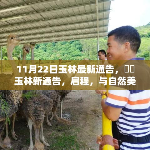 玉林新通告發(fā)布，啟程共舞自然美景，探尋內(nèi)心寧靜之樂