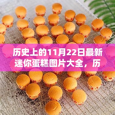 歷史上的11月22日迷你蛋糕圖片精選集，最新圖片大全展示
