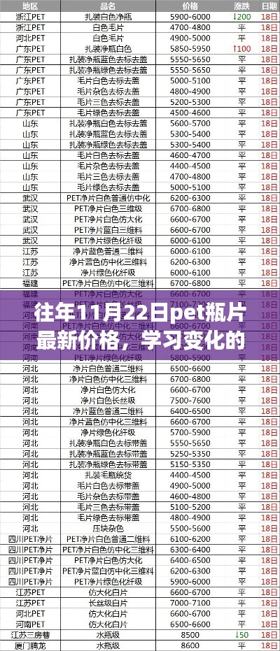 往年11月22日PET瓶片最新價格，探尋變化的力量，自信與成就的來源