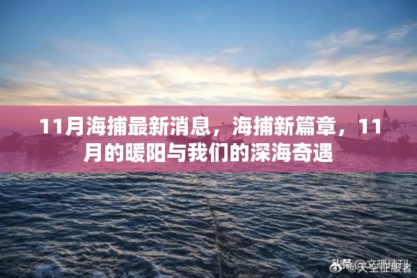 11月深海奇遇，海捕新篇章開啟，暖陽下的深海探索之旅