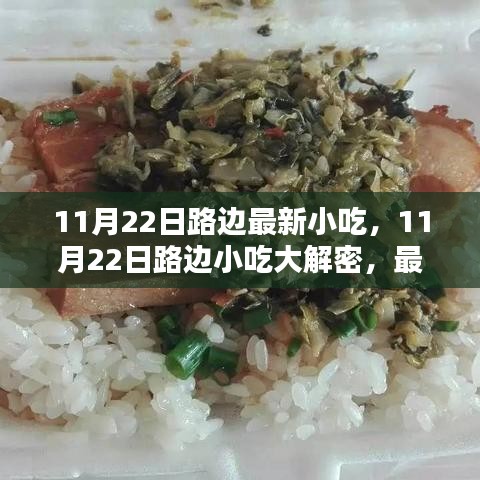 揭秘11月22日路邊最新小吃，深度評測與介紹
