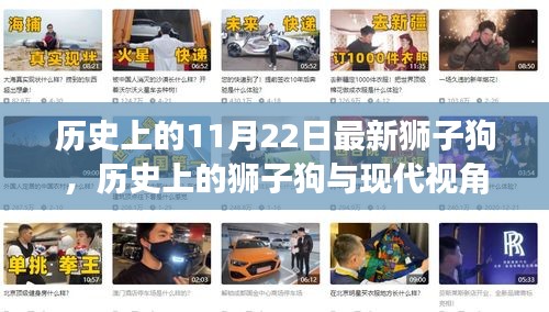 歷史上的獅子狗，從過去到現(xiàn)代的視角探討與最新獅子狗事件回顧