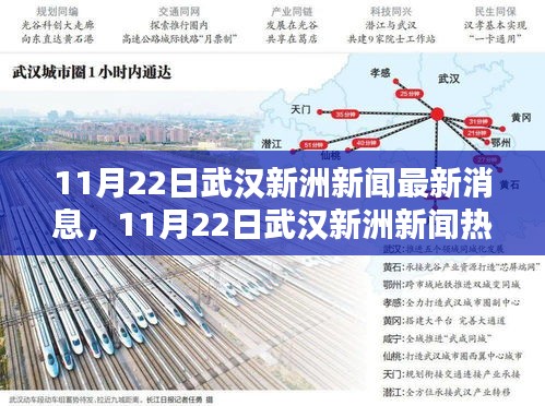武漢新洲新聞熱點(diǎn)解析，最新消息與熱點(diǎn)解析（日期標(biāo)注）