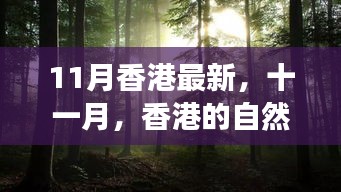 香港十一月自然之旅，綠色懷抱中的心靈尋覓