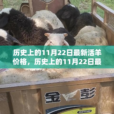 歷史上的11月22日活羊價(jià)格深度評(píng)測(cè)與介紹，最新價(jià)格及市場(chǎng)分析