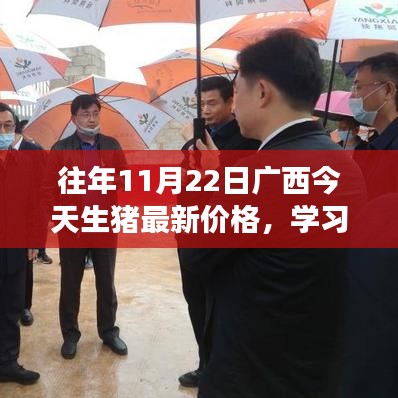 廣西生豬最新價格動態(tài)，見證躍升的力量，成長之路精彩紛呈