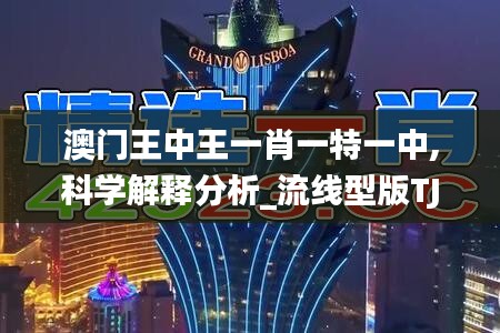 澳門王中王一肖一特一中,科學(xué)解釋分析_流線型版TJE5.84