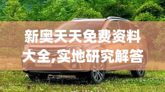 新奧天天免費(fèi)資料大全,實(shí)地研究解答協(xié)助_用心版RQU5.58