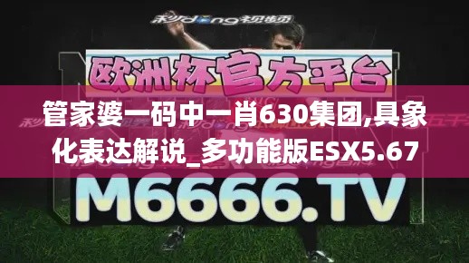 管家婆一碼中一肖630集團,具象化表達解說_多功能版ESX5.67