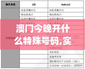 澳門今晚開什么特殊號碼,實(shí)踐調(diào)查說明_精英版QPT5.72