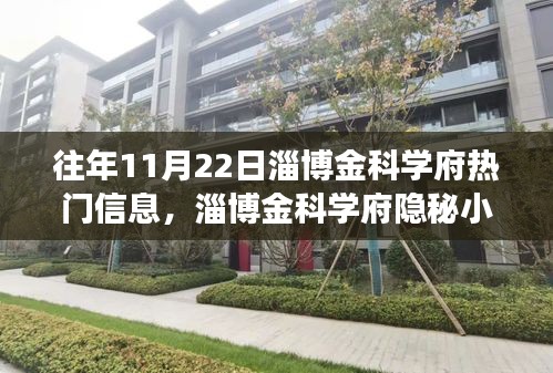 獨家探秘之旅，淄博金科學(xué)府隱秘小巷的美食秘境揭秘（往年11月22日）