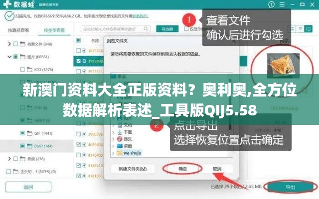 新澳門資料大全正版資料？奧利奧,全方位數(shù)據(jù)解析表述_工具版QIJ5.58
