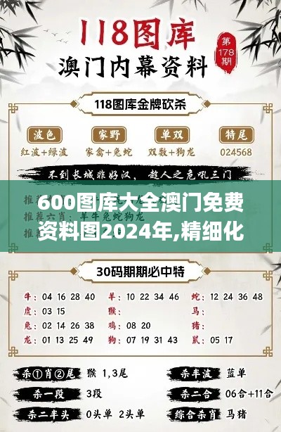 600圖庫(kù)大全澳門免費(fèi)資料圖2024年,精細(xì)化實(shí)施分析_體驗(yàn)版TCE5.80