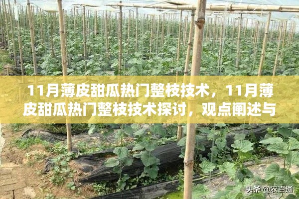 11月薄皮甜瓜整枝技術(shù)探討，觀點(diǎn)闡述與解析