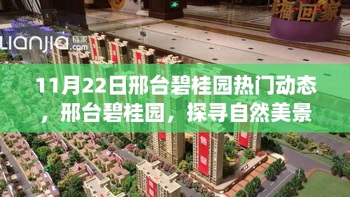 邢臺(tái)碧桂園，探尋自然美景的心靈寧靜之旅（11月22日熱門動(dòng)態(tài)）