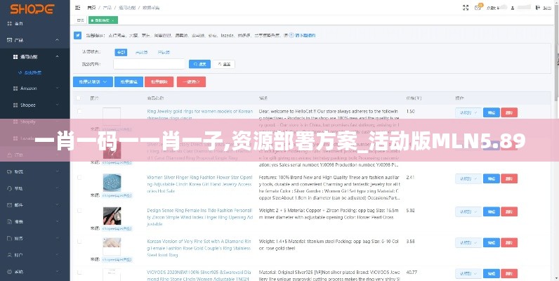 一肖一碼一一肖一子,資源部署方案_活動(dòng)版MLN5.89