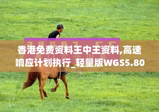香港免費(fèi)資料王中王資料,高速響應(yīng)計(jì)劃執(zhí)行_輕量版WGS5.80
