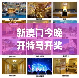 新澳門今晚開特馬開獎,高效性設(shè)計規(guī)劃_家居版DON5.14