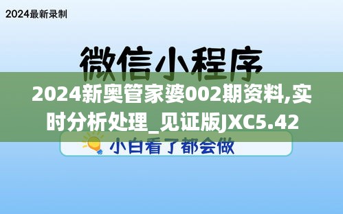2024新奧管家婆002期資料,實(shí)時(shí)分析處理_見(jiàn)證版JXC5.42