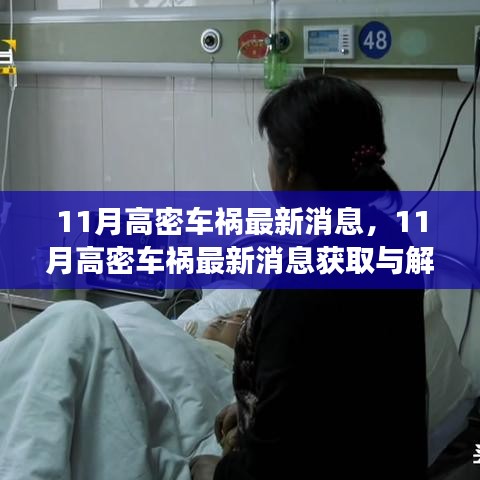 11月高密車禍最新消息解讀與獲取指南，適用于初學(xué)者與進(jìn)階用戶