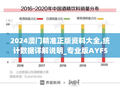 2024澳門精準正版資料大全,統(tǒng)計數(shù)據(jù)詳解說明_專業(yè)版AYF5.11