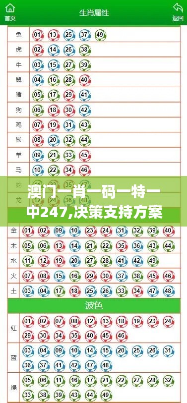澳門一肖一碼一特一中247,決策支持方案_投影版BZD5.39
