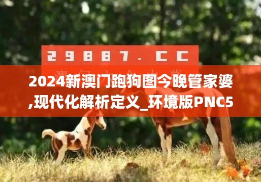 2024新澳門跑狗圖今晚管家婆,現(xiàn)代化解析定義_環(huán)境版PNC5.51