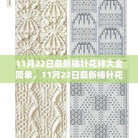 11月22日最新棒針花樣詳解，簡(jiǎn)單編織藝術(shù)的全新魅力展現(xiàn)