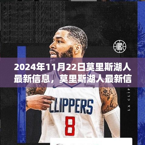 莫里斯湖人最新動態(tài)與深度評測，體驗2024年11月22日的獨特魅力