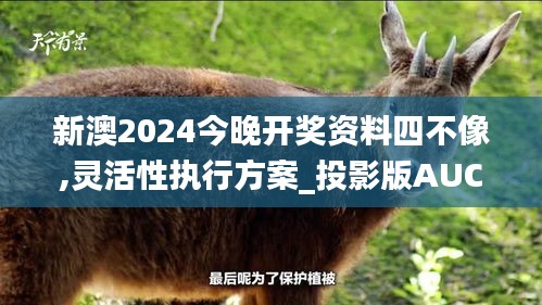 新澳2024今晚開獎(jiǎng)資料四不像,靈活性執(zhí)行方案_投影版AUC5.81