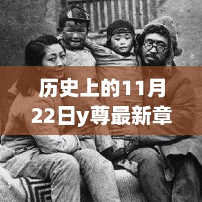 歷史上的11月22日深度解析及最新章節(jié)y尊揭秘