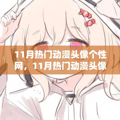 11月熱門動漫頭像個性網(wǎng)，全面評測與詳細(xì)介紹