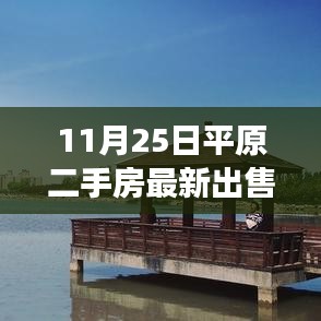 揭秘最新平原二手房市場，最新出售信息詳解（11月25日）