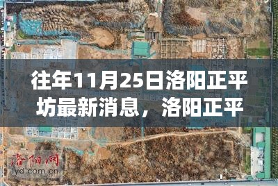 洛陽正平坊鄰里聚會日，十一月暖陽下的溫馨時光