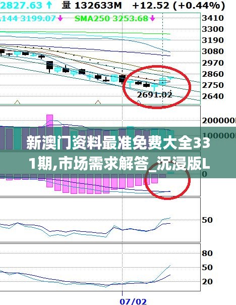 新澳門資料最準(zhǔn)免費大全331期,市場需求解答_沉浸版LHZ11.7
