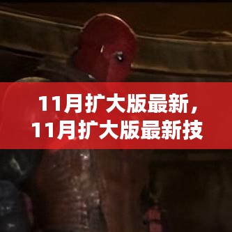 最新11月擴(kuò)大版技能學(xué)習(xí)指南，一步步教你完成任務(wù)