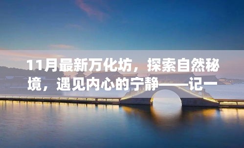 探索自然秘境，遇見寧靜內(nèi)心，最新萬化坊之旅體驗(yàn)紀(jì)實(shí)