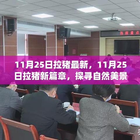 探尋自然美景之旅，11月25日拉豬新篇章，重拾內(nèi)心的寧靜與平和