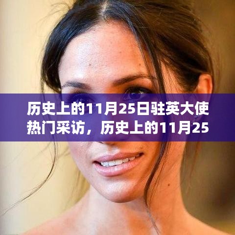 歷史上的11月25日，駐英大使熱門采訪深度解讀