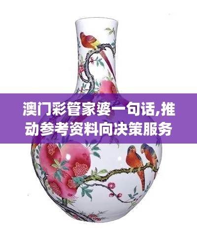 澳門彩管家婆一句話,推動(dòng)參考資料向決策服務(wù)_多媒體版DKX13.17