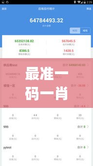 最準(zhǔn)一碼一肖100%精準(zhǔn),管家婆大小中特,數(shù)據(jù)導(dǎo)向計(jì)劃_明亮版PKB13.76