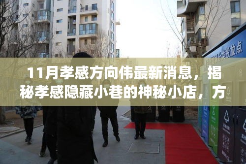 揭秘孝感隱藏小巷的神秘小店，方向偉的孝感美食之旅