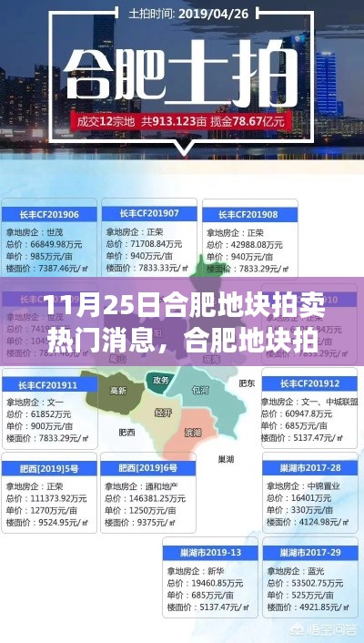 合肥地塊拍賣掀起熱潮，地產(chǎn)風(fēng)云再掀波瀾