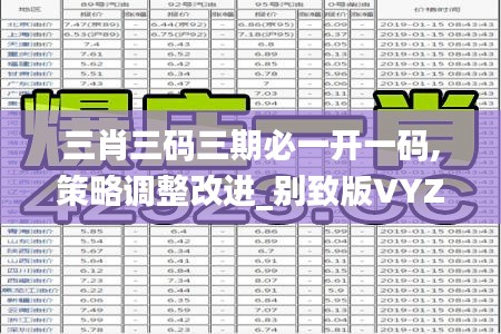 三肖三碼三期必一開一碼,策略調(diào)整改進_別致版VYZ13.28