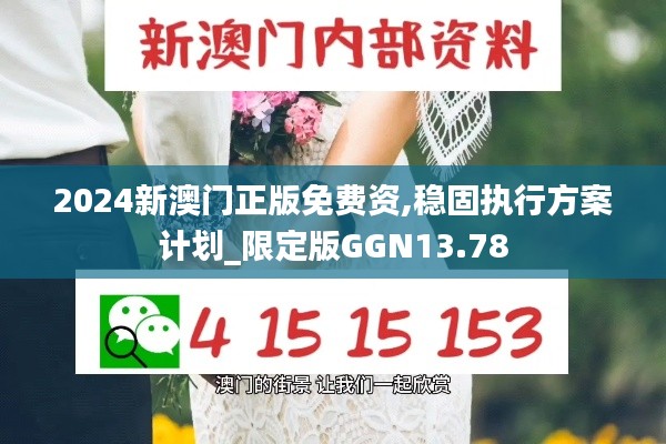 2024新澳門正版免費資,穩(wěn)固執(zhí)行方案計劃_限定版GGN13.78