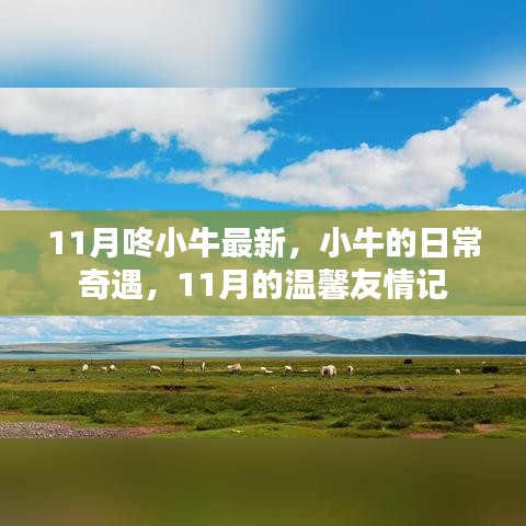 小牛奇遇記，溫馨友情與日常奇遇的十一月篇章